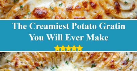 Potato Gratin