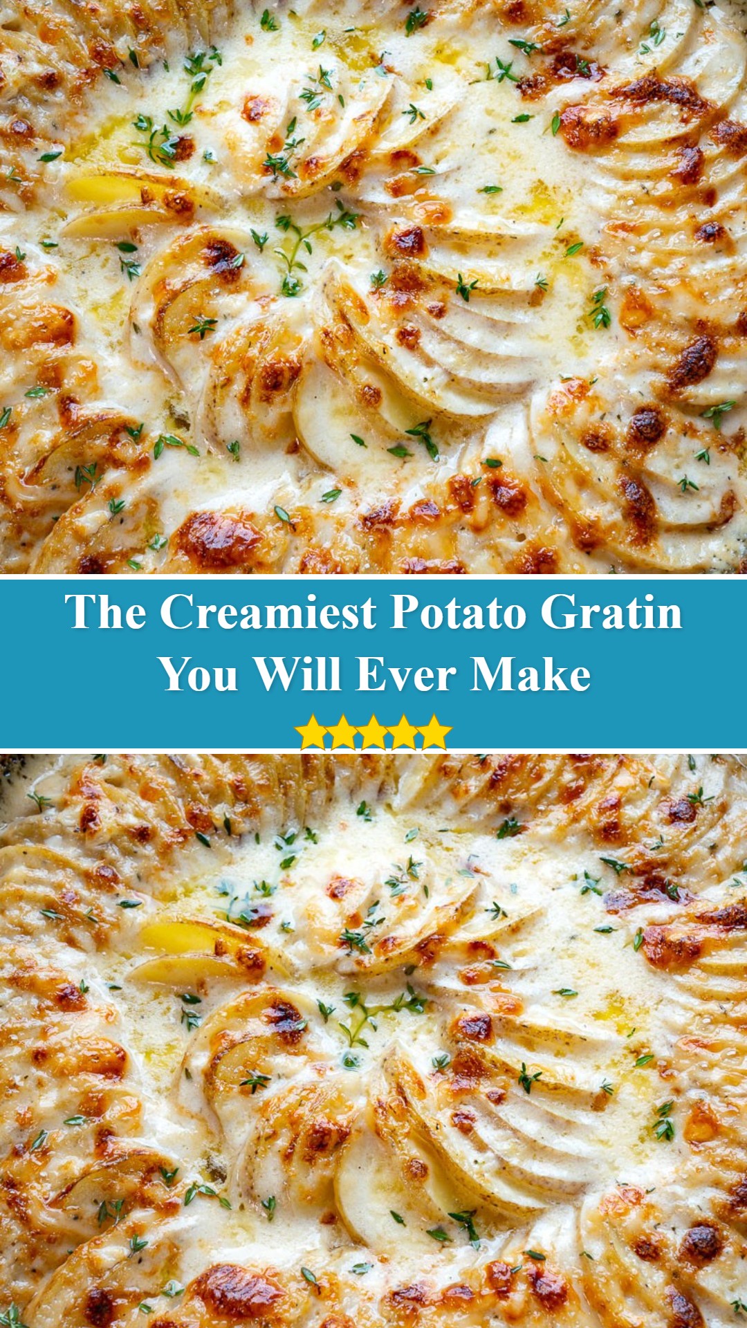 Potato Gratin